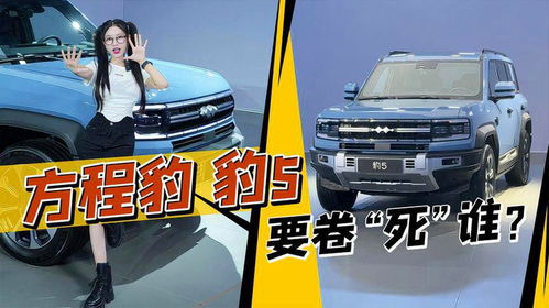 云辇汽车售价多少