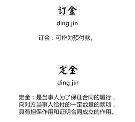 汽车定金与订金多少