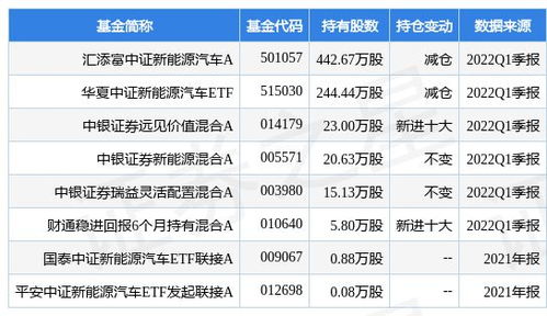 汽车的净值是多少