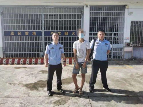 汽车瓦片分为多少种类